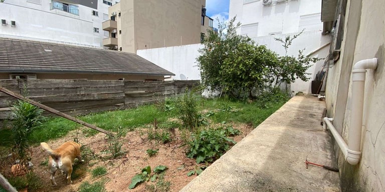 Foto 3 de casa em Chapecó